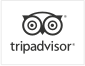 TripAdvisor Icon